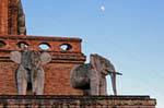 Elefanten und Mond, Wat Chedi Luang, Chiang Mai, Thailand.