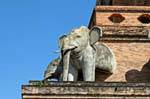 Ausgehende Elefanten Statuen Chedi, Wat Chedi Luang, Chiang Mai, Thailand.
