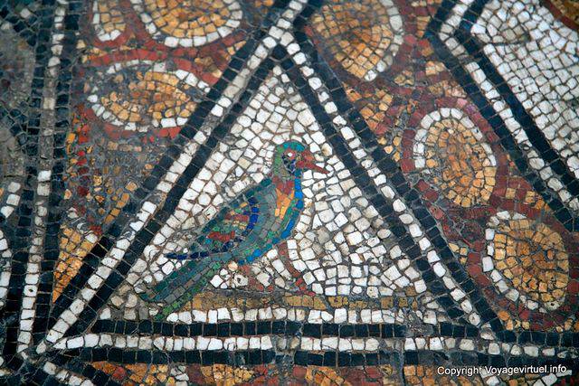 Bardo-Museum, bunter vogel, Mosaikfragment - Tunesien