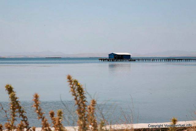 Bizerte Ichkeul Park - Tunesien