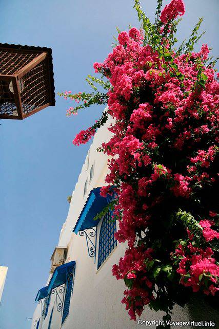 Hammamet, Bougainvillea und Kunstschmiedearbeiten in der Medina - Tunesien