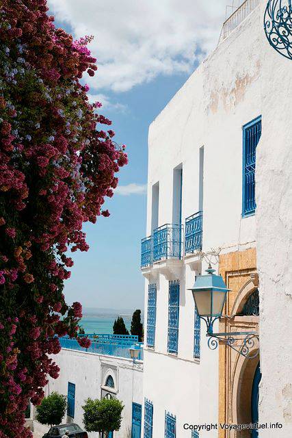 Sidi Bou Said, Abstieg zum Meer - Tunesien
