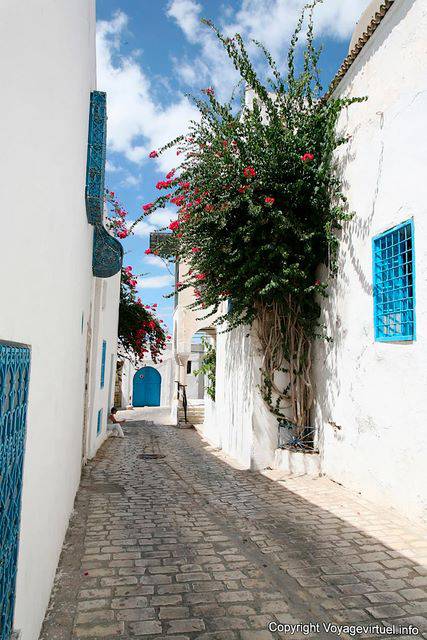 Sidi Bou Said, kleine Straßenpflaster - Tunesien