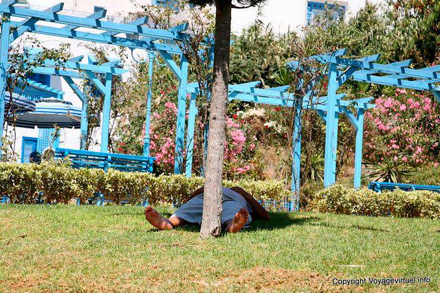 Sidi Bou Said, Nap auf Gras - Tunesien