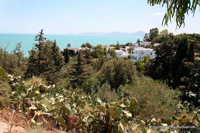 Sidi Bou Said, Villas Versteckte In Foliage - Tunesien