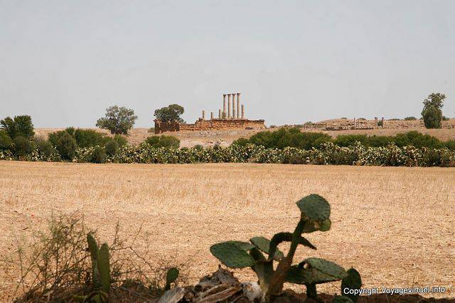 Thuburbo Majus, Land-Panorama - Tunesien
