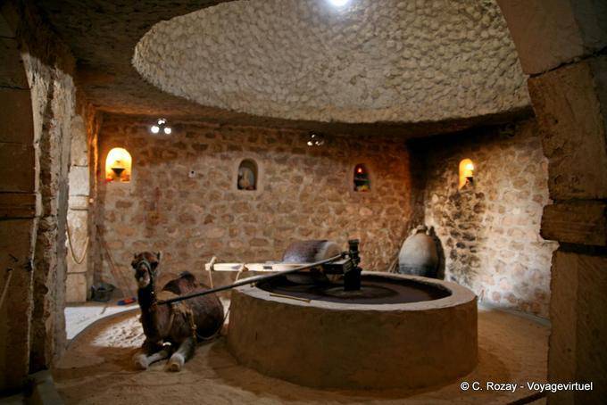 Camel und Weizenmühle, Guellala - Tunesien
