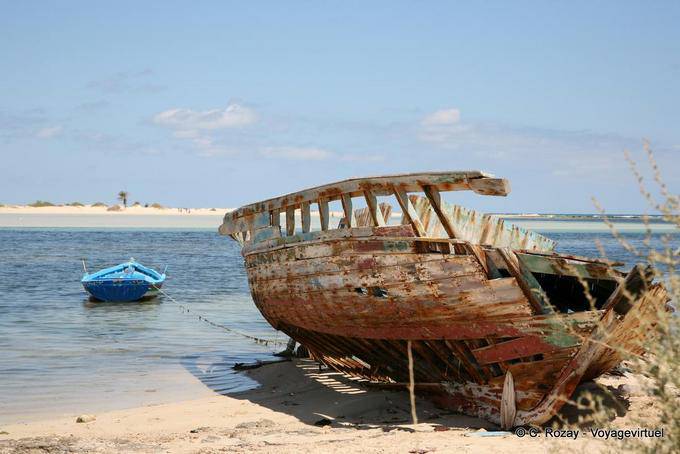 Wrack zum Strand Seguia, Djerba - Tunesien