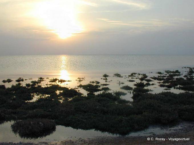 Djerba Licht der untergehenden an der Küste - Tunesien