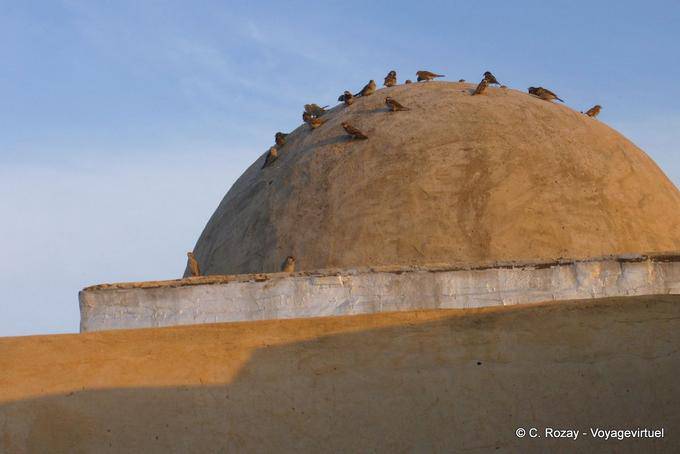 Dome Vögel, Kairouan - Tunesien