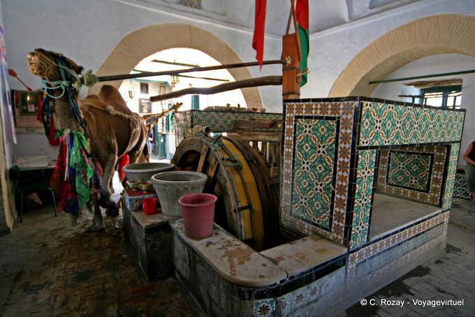 Bir Barrouta, hölzerne Wasserrad von einem Kamel, Kairouan angetrieben - Tunesien