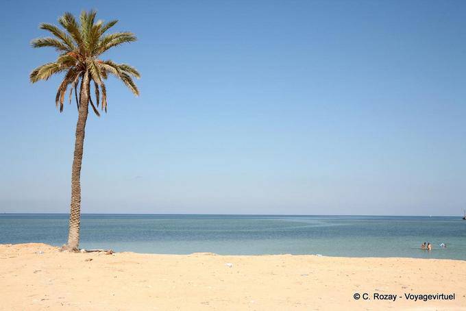 Typische Palme und Strand, Kerkennah Islands - Tunesien