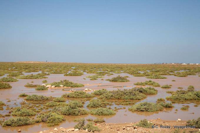 Unterwasserlandschaft der Inselgruppe, zwischen Chergui und Kraten, Kerkennah - Tunesien