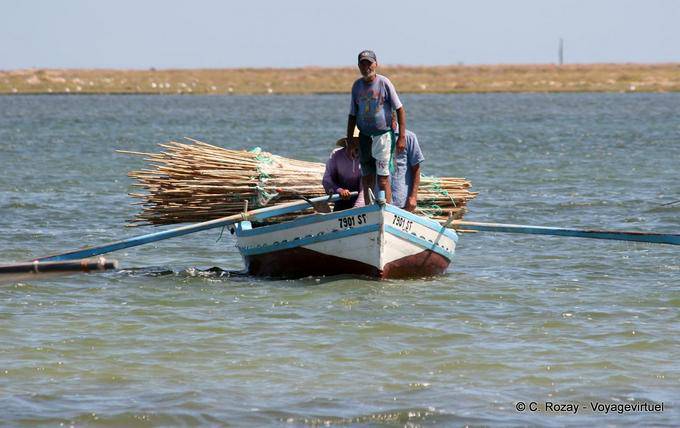 Fisherman Tageszeitung El Attaya, Kerkennah Islands - Tunesien