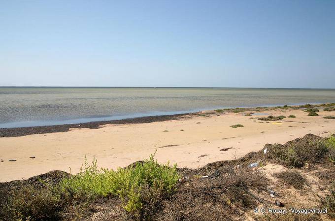 Strand im Osten, Remla, Kerkennah - Tunesien