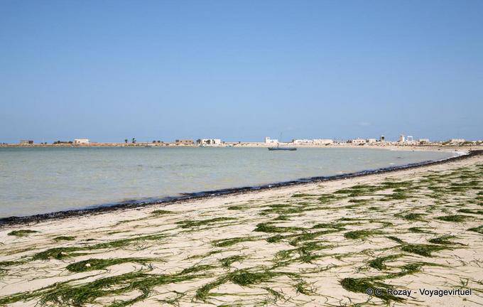 Strand mit Algen Kraten, Rass Ejiija Sidi Tebani, Kerkennah - Tunesien