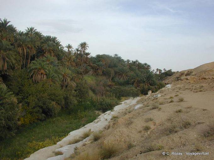 Oasis Tamerza - Tunesien