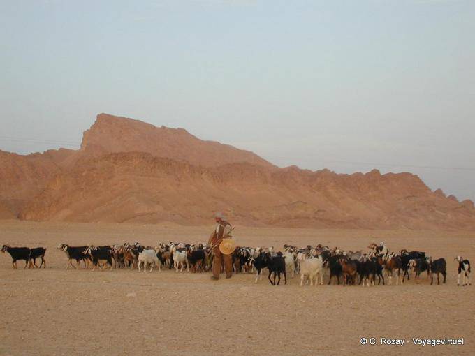 Flock und Hirten an der Tür des Chott el Jerid - Tunesien