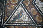 Bardo-Museum, bunter vogel, Mosaikfragment, Tunesien.