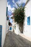 Sidi Bou Said, kleine Straßenpflaster, Tunesien.