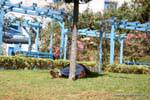 Sidi Bou Said, Nap auf Gras, Tunesien.