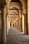 Alte Spalten wiederverwendet, Grosche Moschee Kairouan, Tunesien.