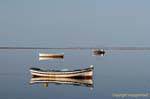 Mirroring Boote Ouled Kacem, Kerkennah Islands, Tunesien.