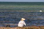 Fisherman Lupe auf das Meer, Remla, Kerkennah, Tunesien.
