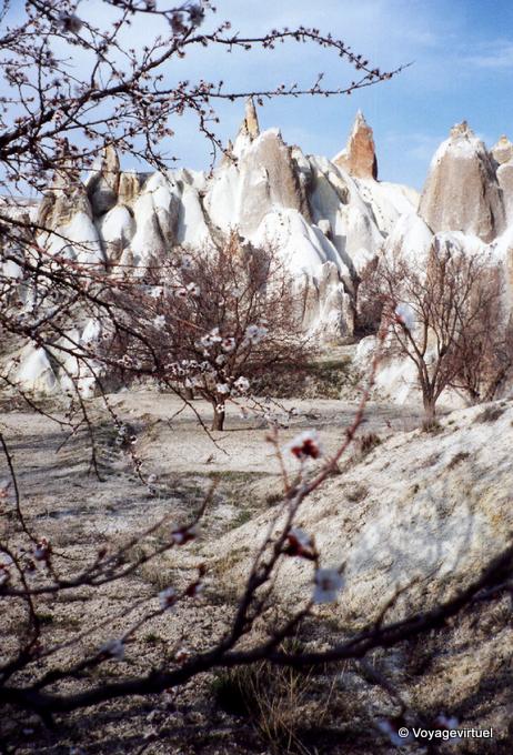 Frühling auf dem Weiß-Tal, Kappadokien - Türkei