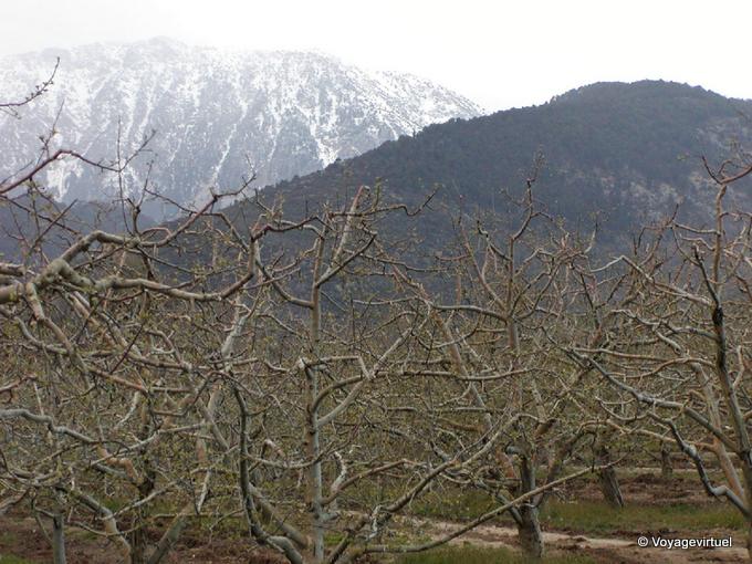Schnee auf dem Hügel und Obst Knospe, Egirdir - Türkei